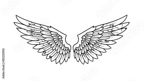 Pair of Black and White Line Art Stylized Angel Wings, isolated white background