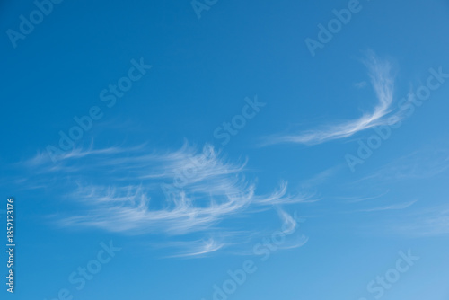 Cirros sobre un cielo azul