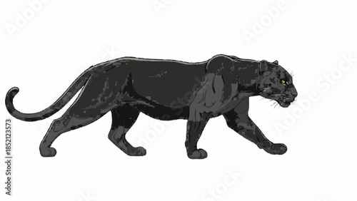 Powerful and sleek illustration of a black panther walking with a confident stride, showcasing its muscular form on a white background.