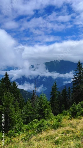 The plateau is covered with clouds that move over the mountain valley. The movement of the fog creeping over the hills at dawn. Mountains and fog on the Pokut plateau in the highlands of the Black Sea