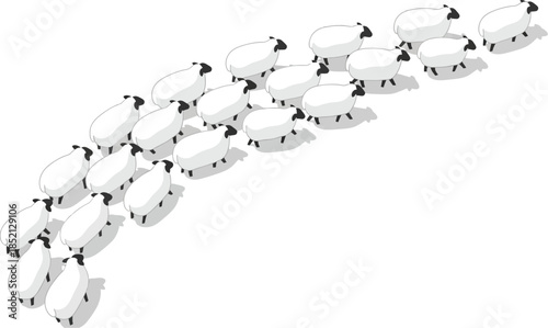 Flock of sheep following each other in a line