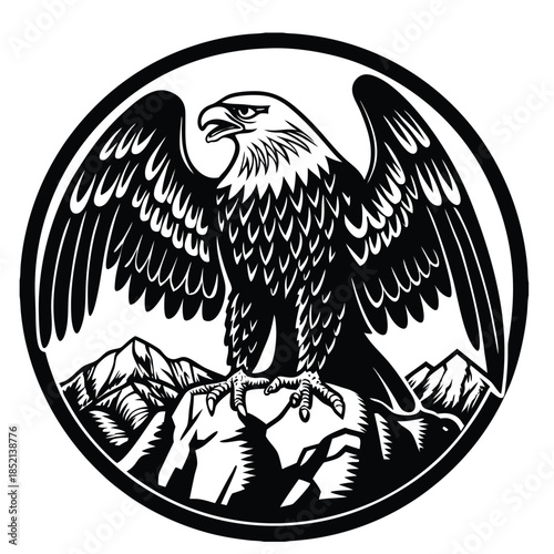 eagle on a white background