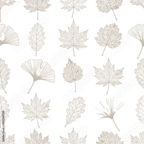Botanical Line Drawing Leaf Pattern on White leaves