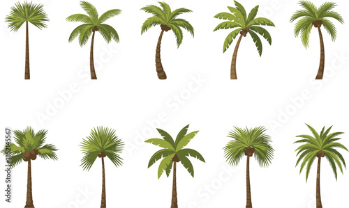 Variety of palm trees in different poses and styles