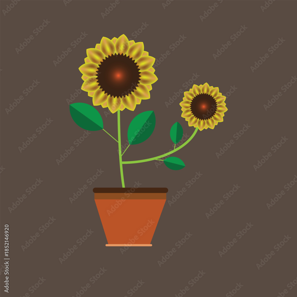 Obraz premium Sunflower in a pot