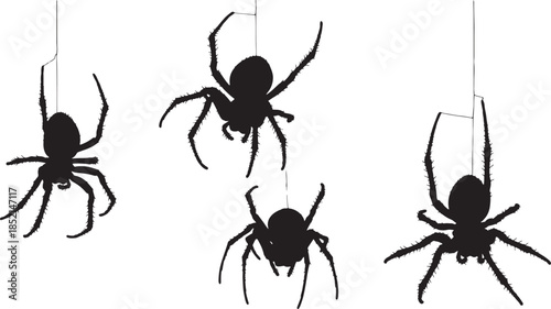 Four black silhouettes of spiders hanging from threads on a white background, Halloween or arachnid themes also transparent background
