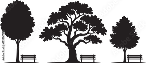 Three black silhouette trees of varying sizes and shapes, each accompanied by a park bench, are set against a clean white background, suggesting a serene park scene also transparent background