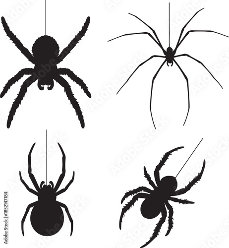Four black silhouettes of spiders hanging from threads on a white background, Halloween or arachnid themes also transparent background