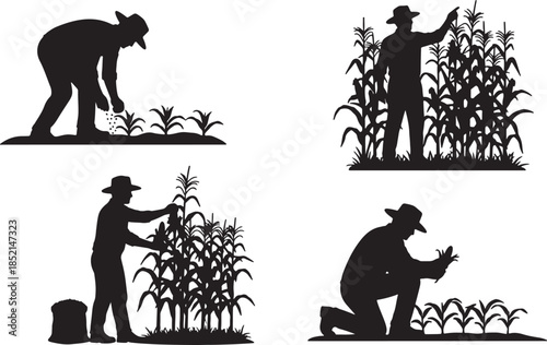 Silhouettes of a farmer tending to corn crops at various stages from planting seeds to harvesting ears of corn also transparent background