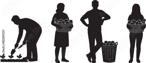 Silhouettes of people engaged in gardening and harvesting fresh produce in a farm setting agriculture also transparent background