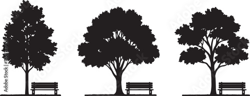 Silhouettes of three distinct trees with benches in front of them against a white background park outdoor also transparent background