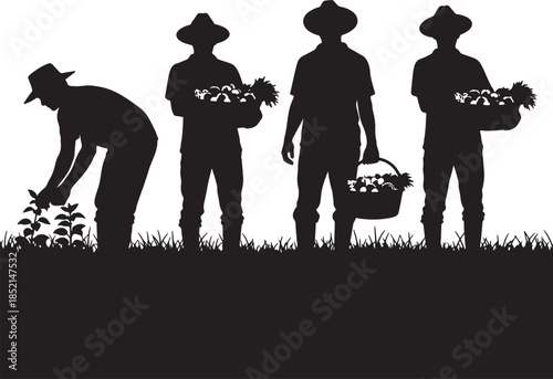 Silhouette of farmers harvesting crops with baskets and tools in a field on a white background, representing agriculture and teamwork also transparent background