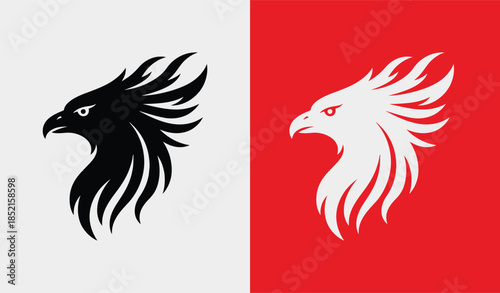 Contrasting eagle heads on divided background