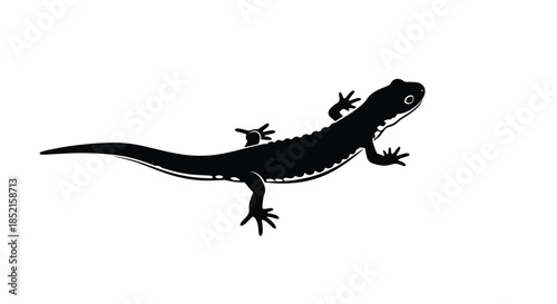 A simple and elegant black silhouette of a newt or salamander, a small amphibian creature, isolated on a white background.