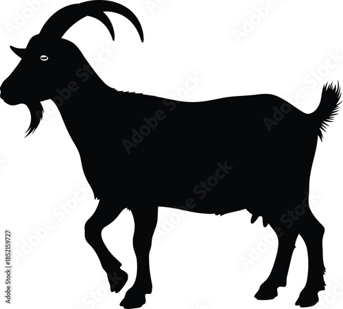 Goat silhouette with curved horns on white background