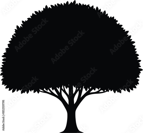 Silhouette of a tree with a thick canopy on a white background