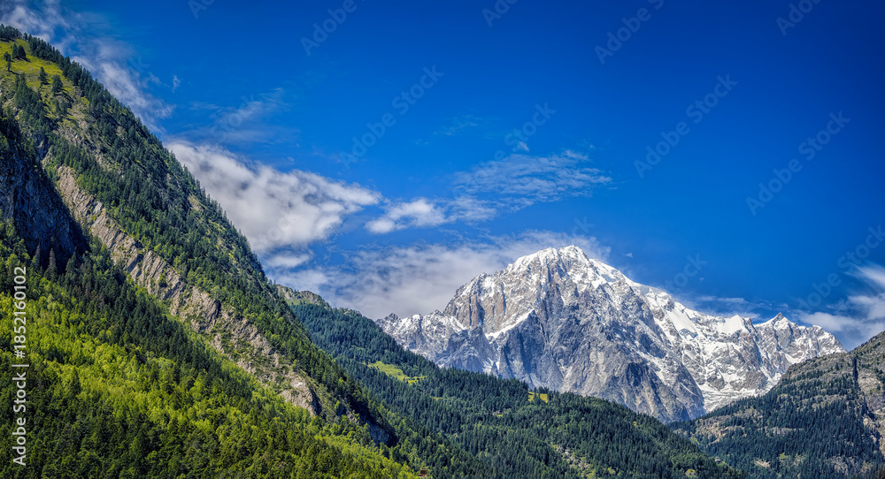 Fototapeta premium Alps mountain landscape with snow capped peaks and green forest