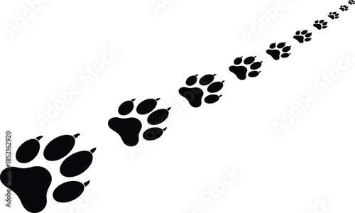 Black paw prints trail diagonally across white background animal track animal tracks