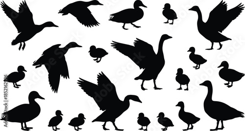 Black silhouettes of ducks geese and ducklings in various poses duck silhouette goose silhouette