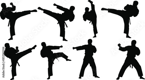 Black silhouettes of martial artists performing various karate kicks and punches martial arts fighter