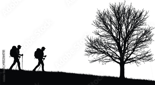 Two hikers with backpacks and poles walk on a grassy hill next to a bare tree silhouette walking