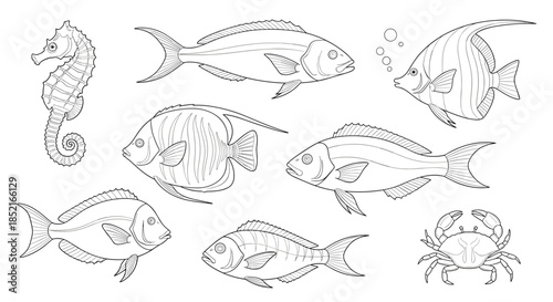 A collection of sea creatures including fish and a seahorse and crab.