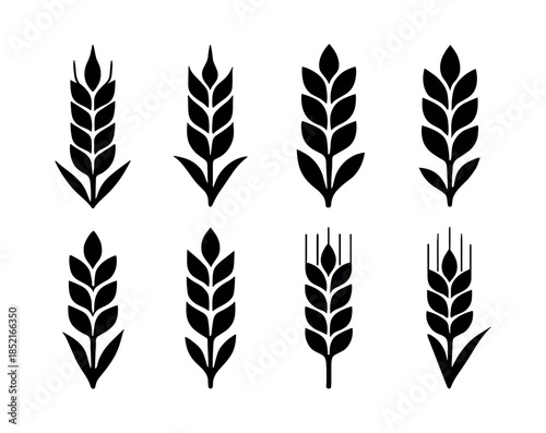 Wheat ear collection, cereal, grain, flat vector illustration