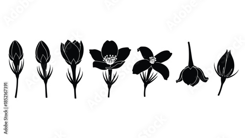 A floral lifecycle illustrated with black silhouettes showing stages of bloom