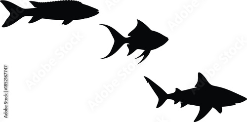 Three black fish silhouettes swimming in different directions on white background ocean