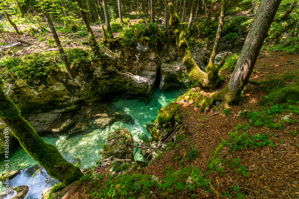 Fototapeta premium Serene Turquoise Oasis Hidden Deep Within Lush Mostnica Gorge Forest Wilderness Slovenia
