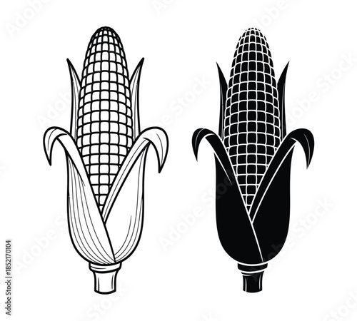 Two corn cobs one light and one dark with husks and silk depicted in a sketch