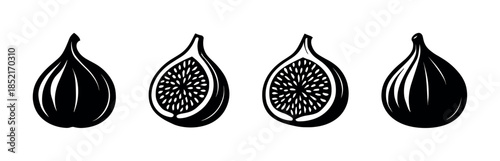 Fig vector illustration, black and white, education and design, flat vector style