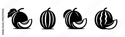 Watermelon and cantaloupe, flat vector illustration, fruit slices, black and white