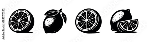 Citrus fruit designs, orange slices and whole, flat vector illustration