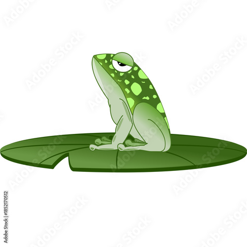 Vector of a green frog on a water lily