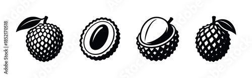 Lychee fruit set, flat vector illustration, exotic, black and white design