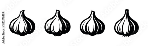 Garlic bulb collection, cloves, food, seasoning, flat vector illustration