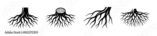 Tree roots collection, flat vector illustration, branching, silhouette, nature