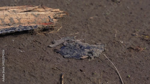 Wallpaper Mural Pan to pollution on sand  Torontodigital.ca