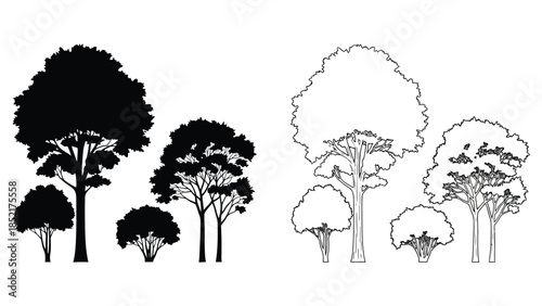 Silhouettes of trees in contrasting black and white graphic design