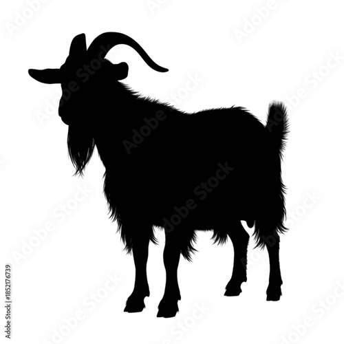 Brown and white goat standing in a field, looking at the camera.