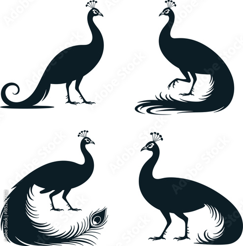 Four black peacock silhouettes with detailed feathers and crests