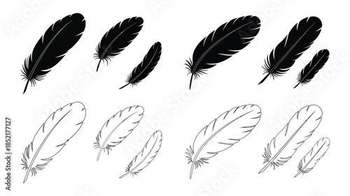 A collection of black and white feather illustrations in a simple arrangement