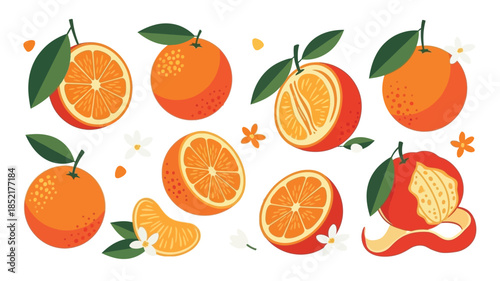 A vibrant collection of oranges both whole and sliced with leaves and flowers