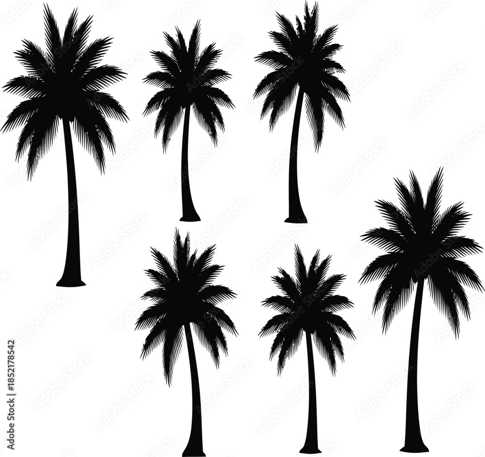 Obraz premium A collection of tropical palm trees in varying forms and sizes presented as a dark silhouette