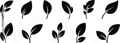 Minimal leaf silhouettes icon set, black botanical plant leaves collection for eco design projects branding