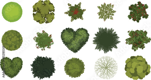 Variety of green leaf shapes and forms