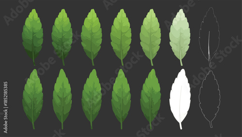 Variations in leaf color and shade on dark background
