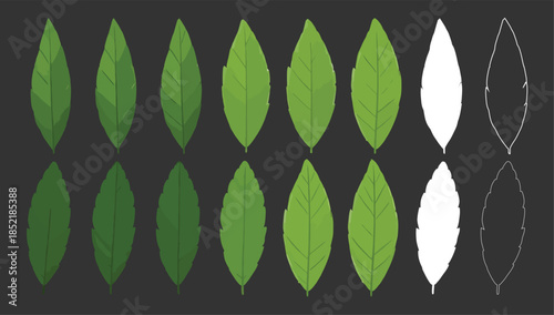 Collection of green and white leaf shapes on a dark background