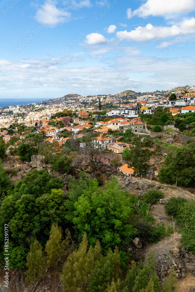Obraz premium Madeira's Hillside Charm
